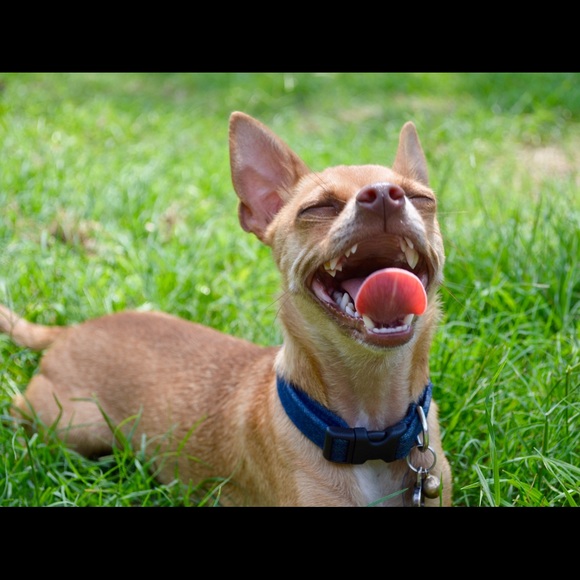 Meet Your Seller - Picture 12 of 15